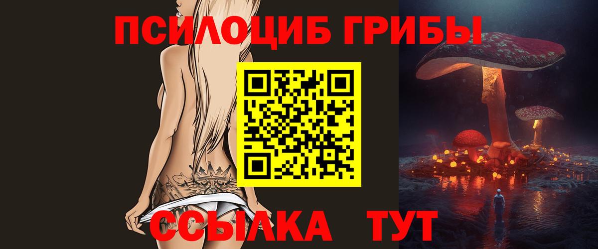 Выкса  Псилоцибиновые грибы Psilocybe  где найти   Вход с VPN 